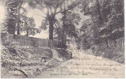 WATFORD Grove Mill Lane, Down  (1904) - Hertfordshire