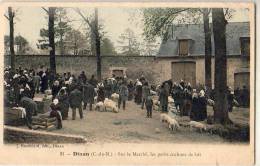 Dinan    22   Marché Des Petits Cochons De Lait - Dinan