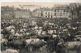 Chateaubriand    44    Le Marché - Châteaubriant