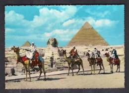 130472 / THE GREAT SPHINX OF GIZA AND PYRAMIDS -  Egypt Egypte Agypten Egitto Egipto - Sfinge