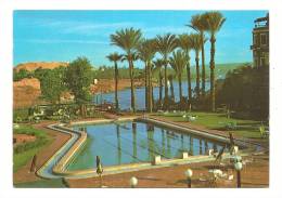 Cp, Egypte, Assouan, View Of The Nile At Aswan, Voyagée 1989 - Asuán