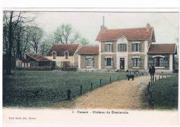 77- CESSON -Chateau De Breviandes - Cesson