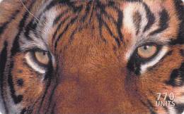 Télécarte - Taxcard : Tigre Du Bengale - Jungle