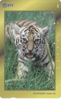 Télécarte - Taxcard : Jeune Tigre - Dschungel