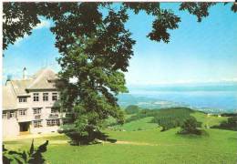 Blick Zum Bodensee Rehetobel - Rehetobel