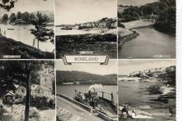 ROSELAND - 6 RP VIEWS - Other & Unclassified