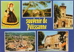 13] Bouches-du-Rhône > Souvenir De Pelissanne  ( Multi Vues , Poupée Année: 1979) * PRIX FIXE - Pelissanne