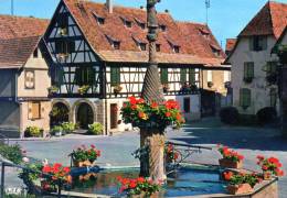 Dambach-le Ville.(Fontaine Fleurie) - Dambach-la-ville