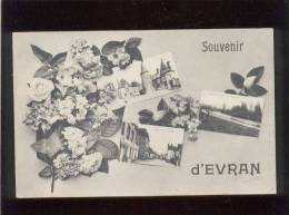 22 Souvenir D' Evran Multivue édit. Sorel 3 Vues & Fleurs - Evran