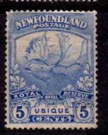 Newfoundland 1919 5 Cent Trail Of The Caribou Issue #119  Creased - 1908-1947