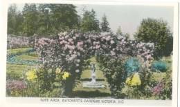 Canada, Rose Arch, Butchart's Gardens, Victoria, BC, Unused Real Photo Postcard [13017] - Victoria