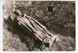 29 - LANDEVENNEC - Dans Les Ruines De L'abbaye, Le Gisant De Jean Du Vieux-Chastel (1496-1522) - Jos 1355 - Landévennec