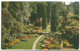 Canada, Sunken Garden, Butchart Gardens, Victoria, BC, Unused Postcard [13031] - Victoria