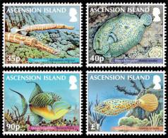 ASCENSION 2012 // Faune Marine, Poissons (Reef Fish II)  // 4v NEUFS - MNH - Ascension