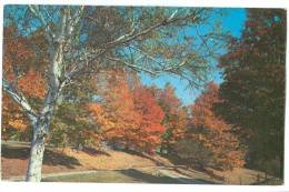 USA, Fall Setting On Rt. 140 At Tinmouth, Vermont, Unused Postcard [13037] - Other & Unclassified