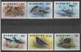 Great Britain Colony Barbuda Fauna-birds 1976 MNH ** - Sonstige & Ohne Zuordnung