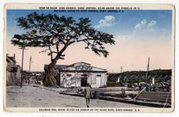 AMERICA DOMINICAN REPUBLIC COLUMBUS TREE, WHERE HE TIED HIS VESSELS ON THE OZAMA RIVER, SANTO DOMINGO OLD POSTCARD 1931. - Dominican Republic