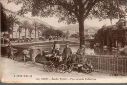 06....ALPES MARITIMES.....NICE....JARDIN PUBLIC....ATTELAGE De CHEVRE.......EC R ITE... . . . ‹(•¿• )› - Carnaval