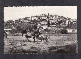 CPSM - BIOT - Vue Générale - Attelage Agricole - Les Foins - Altri & Non Classificati