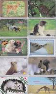 Lot  De 10 TC JAPON Différentes NTT - ANIMAUX - Ecureuil Girafe Biche Etc  ANIMAL ANIMALS JAPAN Phonecards - TIERE - 57 - Sammlungen