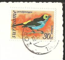 ST. LUCIA Antilles West Indes Stamp Suriname - Sainte-Lucie