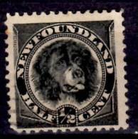 Newfoundland 1894 1/2 Cent Newfoundland Dog Issue #58 - 1865-1902