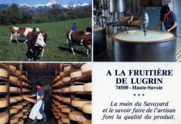 74 LUGRIN Fruitiere, Fromages, Vaches - Lugrin