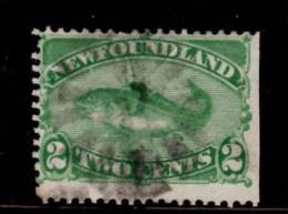 Newfoundland 1896 2 Cent Codfish Issue #47  Trimmed Side - 1865-1902