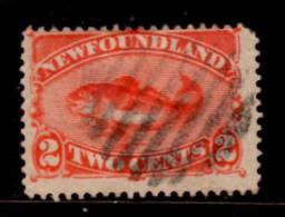 Newfoundland 1880 2 Cent Codfish Issue #48 - 1865-1902