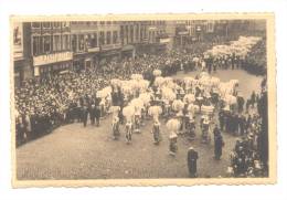 BINCHE - Cortège - Carnaval - Groupe De Gilles (Y243)b107 - Binche