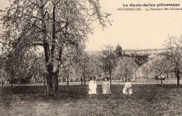 70 FOUGEROLLES - La Floraison Des Cerisiers En 1911 - Other & Unclassified