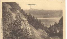 535..COL DE LA FAUCILLE..APERCU SUR LE PAYS DE GEX,LE LEMAN ET LES ALPES...1930..EDT MICHAUX A BELLEGARDE... - Gex