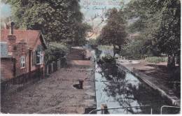 WATFORD The Canal (1904) - Hertfordshire