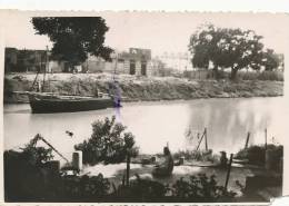 Alexandrie  Real Photo Arabes En Priere Sur Le Bord Du Canal De Ptolémée Praying - Alexandrie