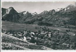 Lessoc, Vue Générale, Champ De Narcisses - Lessoc