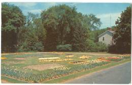 USA, Flower Beds, Forest Park, Springfield, Massachusetts, 1961 Used Postcard [13086] - Springfield