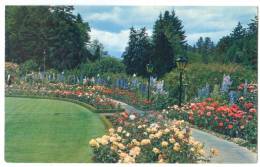 Canada, The Rose Garden, The Butchart Gardens, Victoria, BC, Unused Postcard [13094] - Victoria