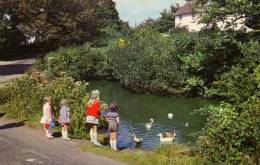 The Duck Pond - Hillway - Bembridge  - Enfants - Canards - Autres & Non Classés