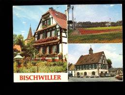 BISCHWILLER Bas Rhin 67 : Maison De J Jesel Stade Olympique Foot Football Stadium Des Pins Ancienne Mairie La Laub - Bischwiller