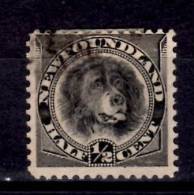 Newfoundland 1894 1/2 Cent Newfoundland Dog Issue #58 - 1865-1902