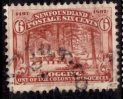 Newfoundland 1897 6 Cent Logging Issue #66 Damaged Bottom - 1865-1902