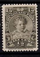 Newfoundland 1887 1/2 Cent King Edward As A Child Issue #79 - 1865-1902