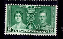 Newfoundland 1937 2 Cent Coronation Issue #230 - 1908-1947