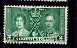 Newfoundland 1937 2 Cent Coronation Issue #230 - 1908-1947