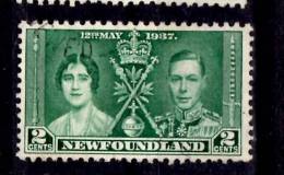 Newfoundland 1937 2 Cent Coronation Issue #230 - 1908-1947