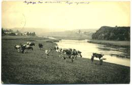 Précurseur  Belgique - LA SEMOIS - CUGNON   Paysages Choisis Des Ardennes   Animation - Bertrix