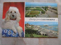 Uk Cleethorpes     D87933 - Other & Unclassified