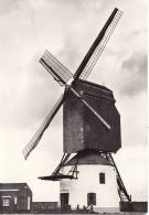 Meulebeke Herentmolen - Meulebeke