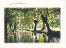 Cp MARAIS POITEVIN  - Contre Jour Sur Une Conche - Pays De La Loire