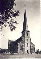 Pulderbos Kerk O.L.Vrouw - Zandhoven